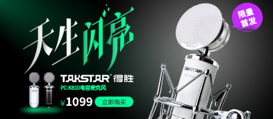TAKSTAR 得胜 PC-K810 电容麦克风