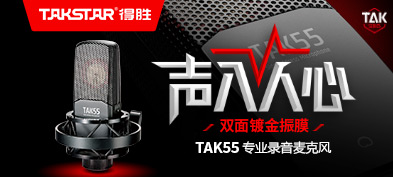 TAKSTAR 得胜TAK55 双面大振膜电容录音麦克风