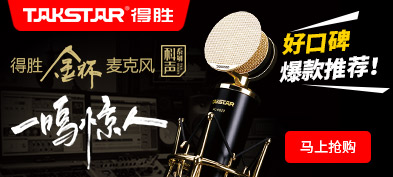 TAKSTAR 得胜 PC-K820 金杯录音麦克风