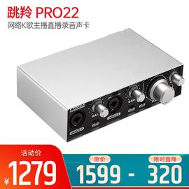 跳羚(Buckhorn) PRO22 网络K歌主播直播录音声卡USB外置声卡手机电脑通用